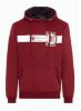 Picture of Connecting Rod Mens Hoodie in Large