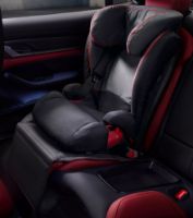 Picture of Seat Protection Mat for Child Seats or Dog Transport