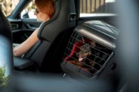 Picture of Dog Transport Box with ISOFIX Latch