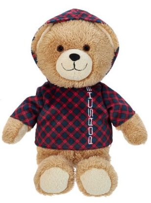 Picture of ‘Ferry’ teddy bear