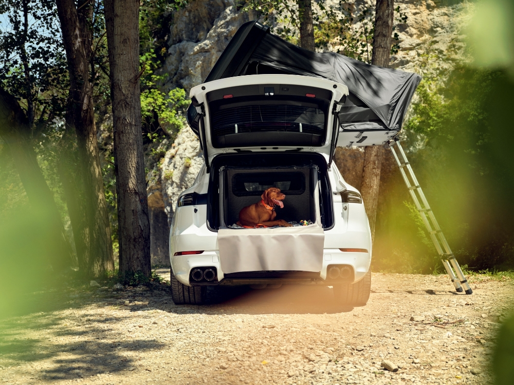 Picture for category Easter Adventure